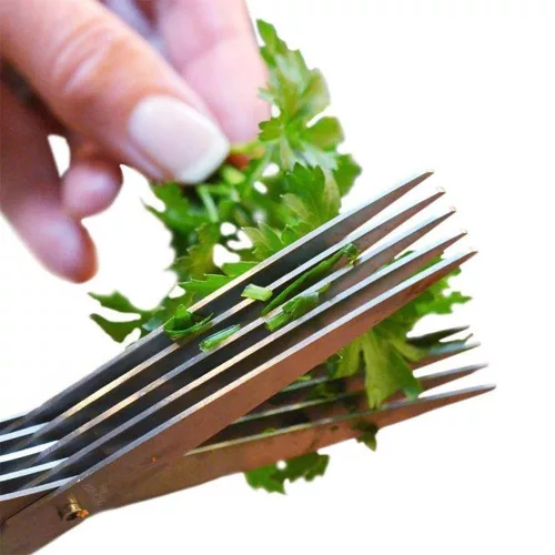 5 pengos fűszernövény vágó olló