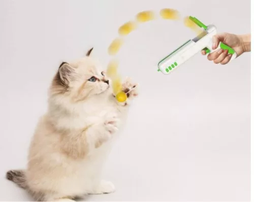 KittyCat – Hra s mačiatkom