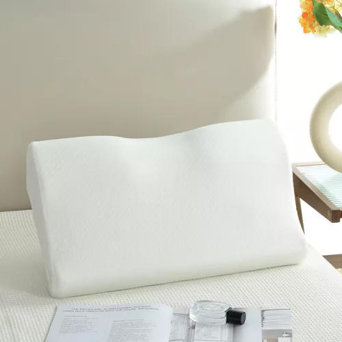 Vankúš z pamäťovej peny Hiltop