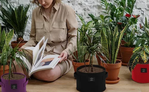 Laxllent Textil kvetináč červená 2 veľké 2 malé fialová farba