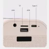 Prenosný RGB Bluetooth karaoke reproduktor s 2 bezdrôtovými mikrofónmi - výhodná cena